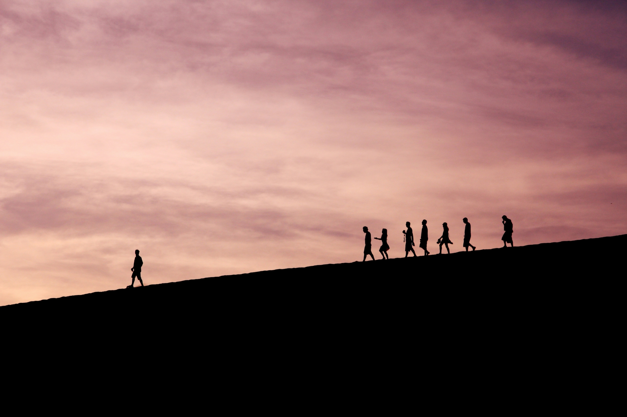 Lead the way